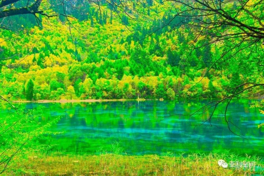 江西彭泽：春节将近 “花卉经济”产销旺