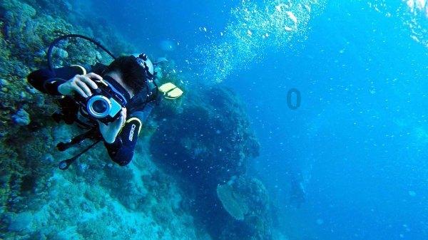 春运期间海南机场集团预计运送旅客725万人次
